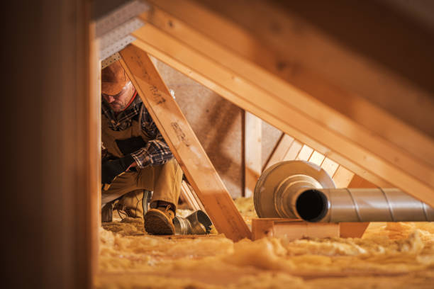 Home Air Vent Cleaning in Feather Sound, FL